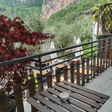 Stella D'italia Tenno